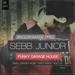 248 rsz 1sebb junior funky garage house