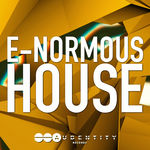 281 e normous house cover 5
