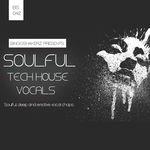 288 rsz soulful tech house vocals