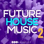 311 future house music 2 artwork