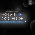 342 rsz french disco house 4