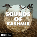 359 800x800soundsofkashmircover