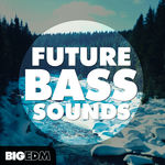 393 800x800futurebasssoundscover