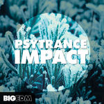 552 800x800psytranceimpactcover