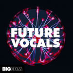 639 800big edm future pop cover