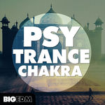 922 800x800big edm psytrance chakra cover